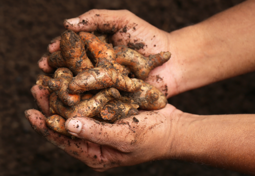 untitled design (14)