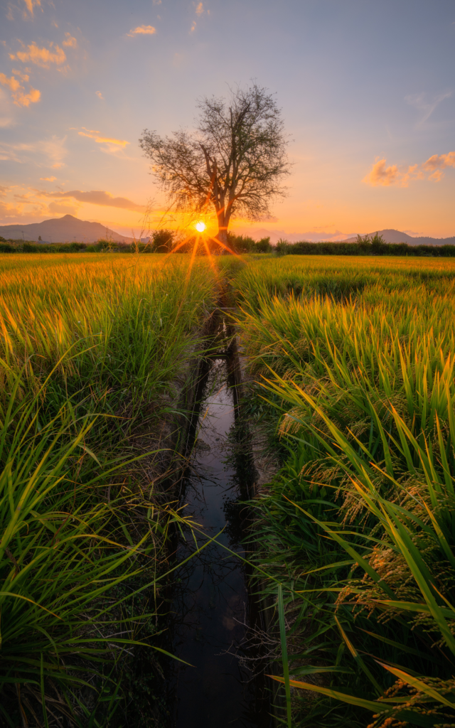 your paragraph text (4)